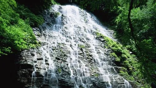 高性能高精度智慧